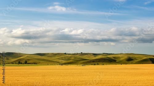 панорама зеленых холмов с облачным небом и желтым полем, Россия