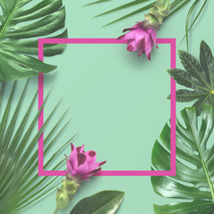 colorful creative tropical layout with exotic plants as a border, monstera, palm leaves and pink turmeric flowers on a turquoise background - copyspace, matte overlay