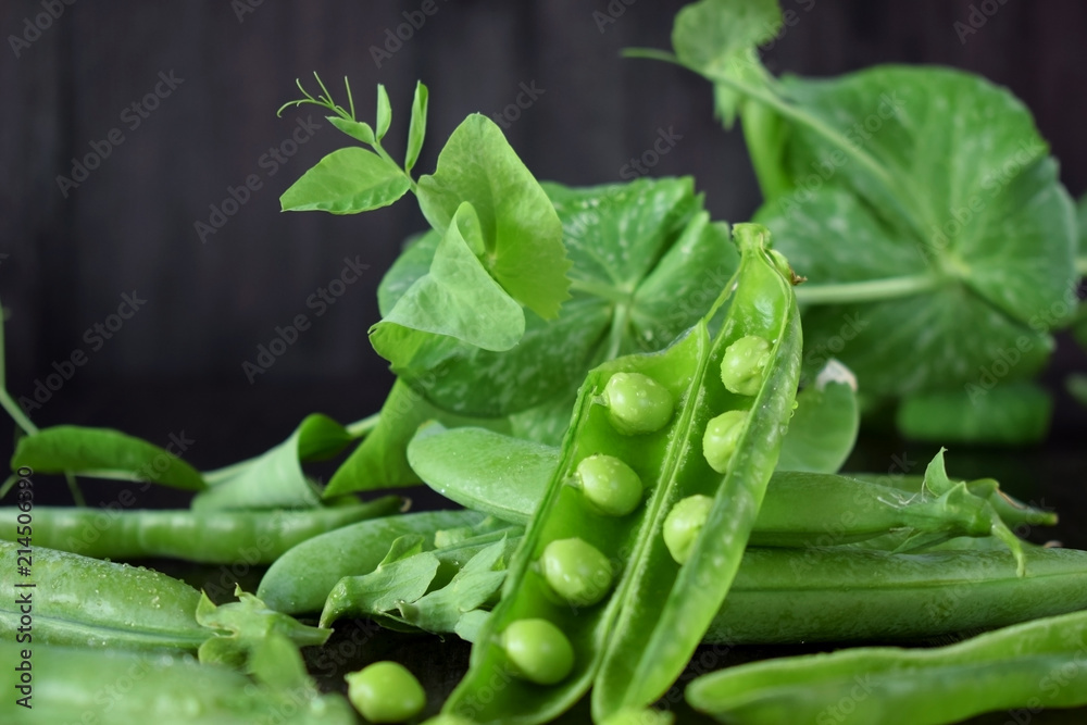 Fototapeta premium Green pea pods against the dark background