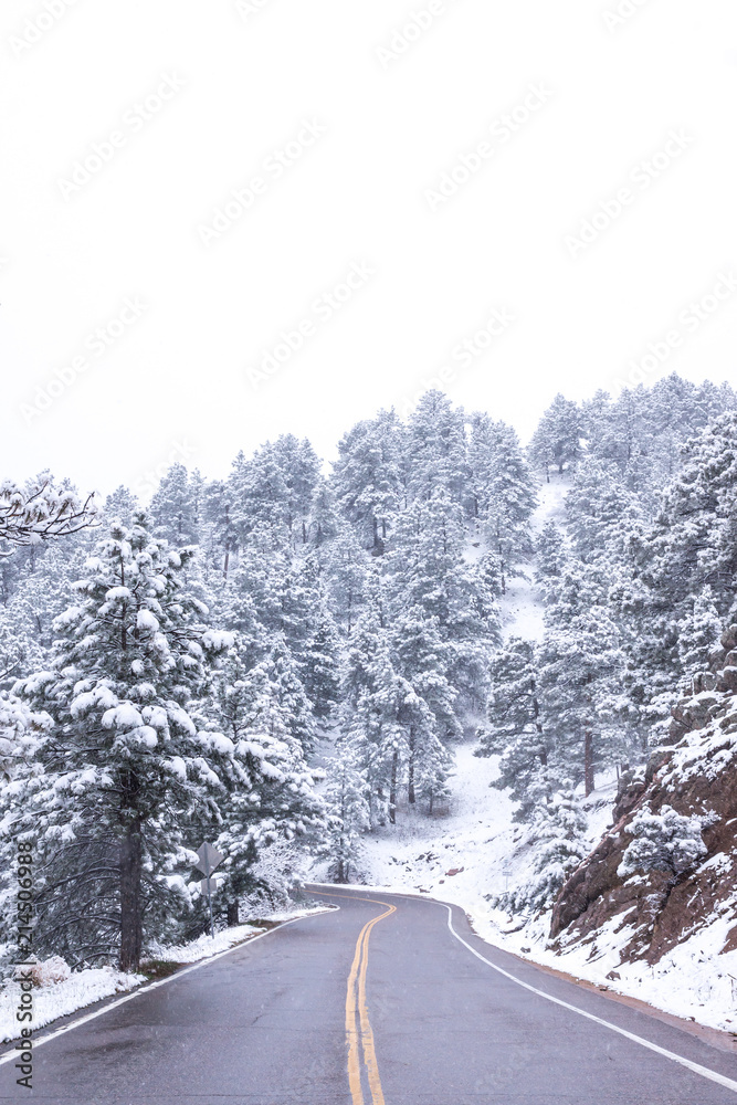 Winter in the mountains