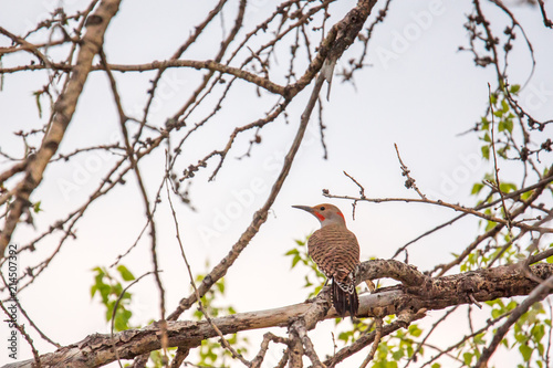 Bird perching on branch