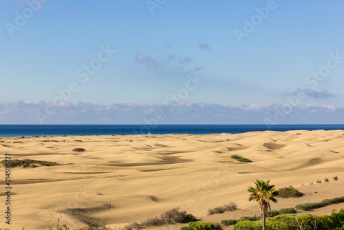 Maspalomas sand dunes desert. Sunny day at popular landmark on Gran Canaria island  Spain. Lovely nature landscape scene. Summer vacation  travel destination  tourist attraction concepts