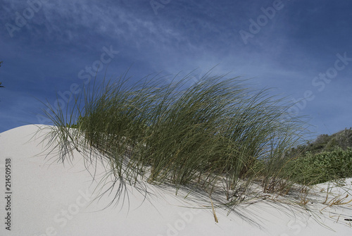Fototapeta Naklejka Na Ścianę i Meble -  Sand dunes, South Africa