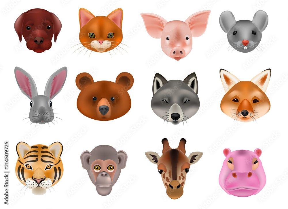 Animal mask vector animalistic masking face of wild characters bear wolf rabbit and cat or dog on masquerade illustration set of carnival masked costume monkey masquer isolated on white background