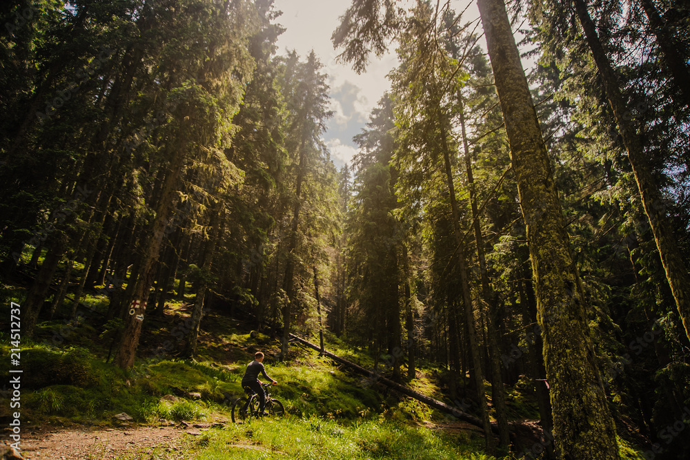 Fototapeta premium A handsome man on a bicycle