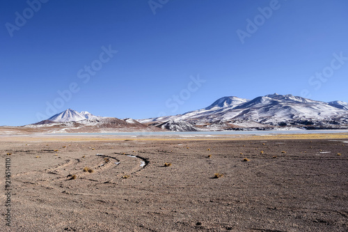 Laguna Tuyajto, Atacama desert, San Pedro de Atacama, Chile.