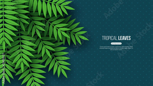 Exotic jungle tropical palm leaves. Summer floral design with dotted dark turquoise color background. Vector illustration.