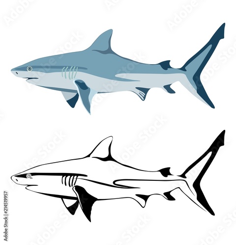 Set of images of shark and its silhouettes. Vector.