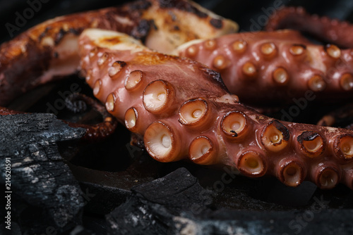 octopus grill bbq