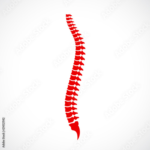 Spinal cord vector icon