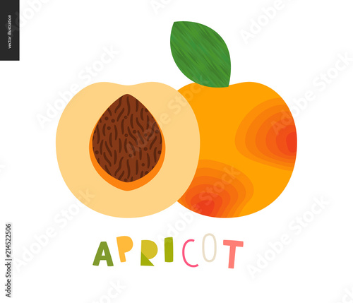 Food patterns - fruit, vector flat illustration of apricot - simple half of an apricot fruit full of firm yellow pulp, orange rind, brown seed, and lettering. Perfect for t-shirt, bag, decoration