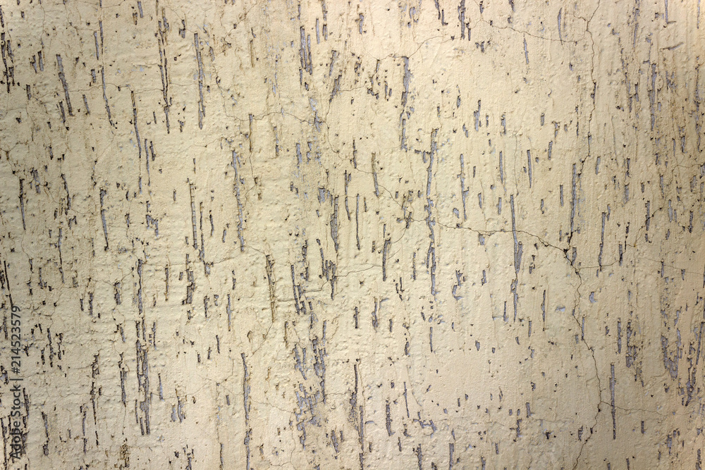 concrete wall, bark beetle, with cracks concrete wall, bark beetle, with cracks