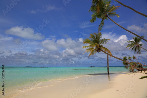 Fototapeta Naklejka Na Ścianę i Meble -  Gorgeous view of Indian Ocean, Maldives. White sand beach, turquoise water, blue sky and white clouds. Beautiful background.