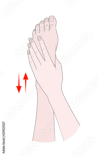Foot massage. Bunion.  Hallux valgus or bunion formation of the foot. Female hands massage the foot. Kneading and prevention of diseases of the bones of the thumb. Vector illustration