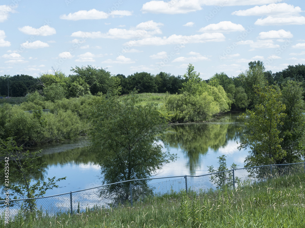 Pond with reflections amidst field and trees Pond with reflections amidst field and trees