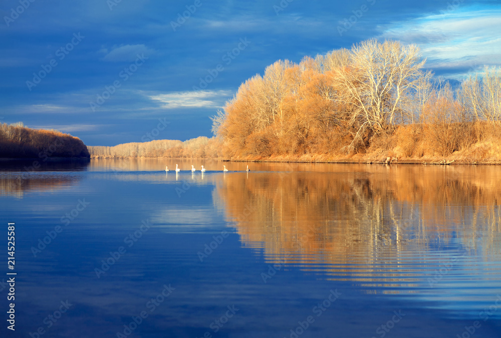 idyllic autumn on the river