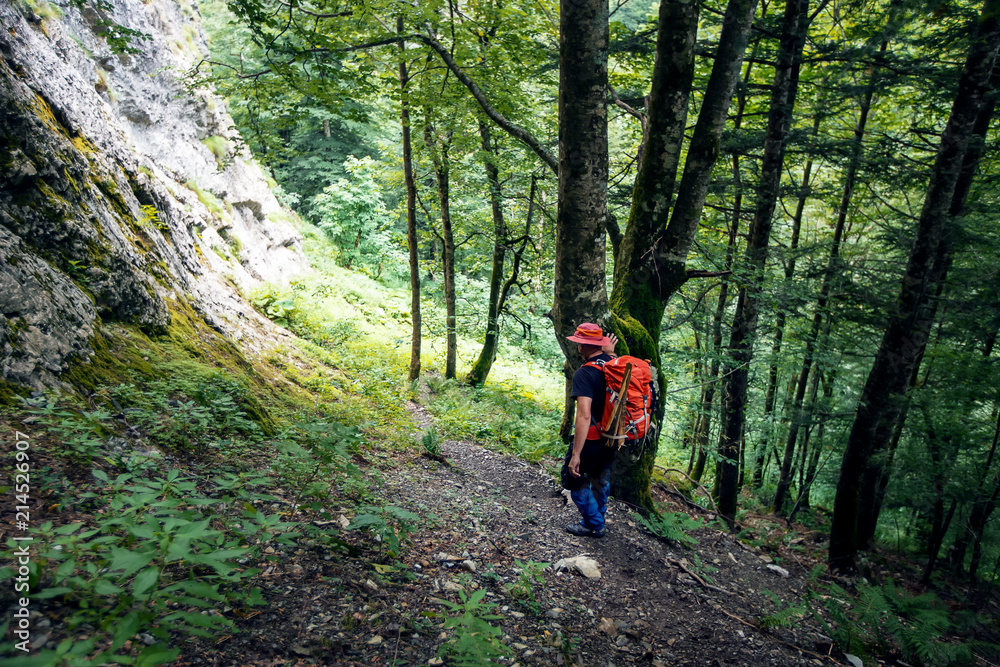 Hiker with traveling backpack walking in a forest and discover nature.Adventure and travel concept Hiker with traveling backpack walking in a forest and discover nature.Adventure and travel concept