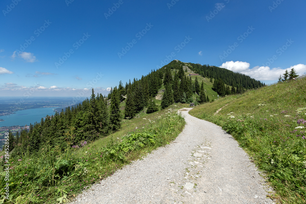 contry road at the alps