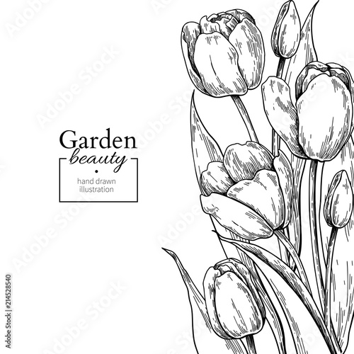 Tulip flower and leaves drawing border. Vector hand drawn engraved floral frame.