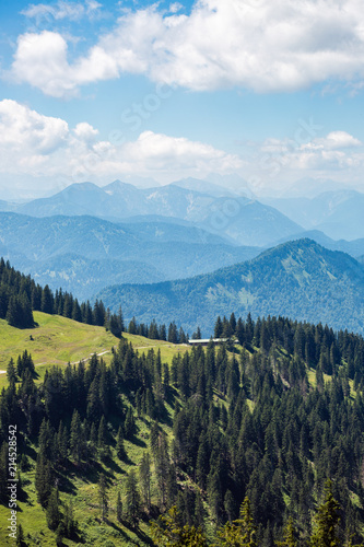 spring landscape, mountain valley, vertical photo, spring landscape, mountain valley, vertical photo