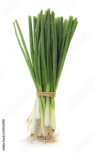 Tied fresh green onion on white background