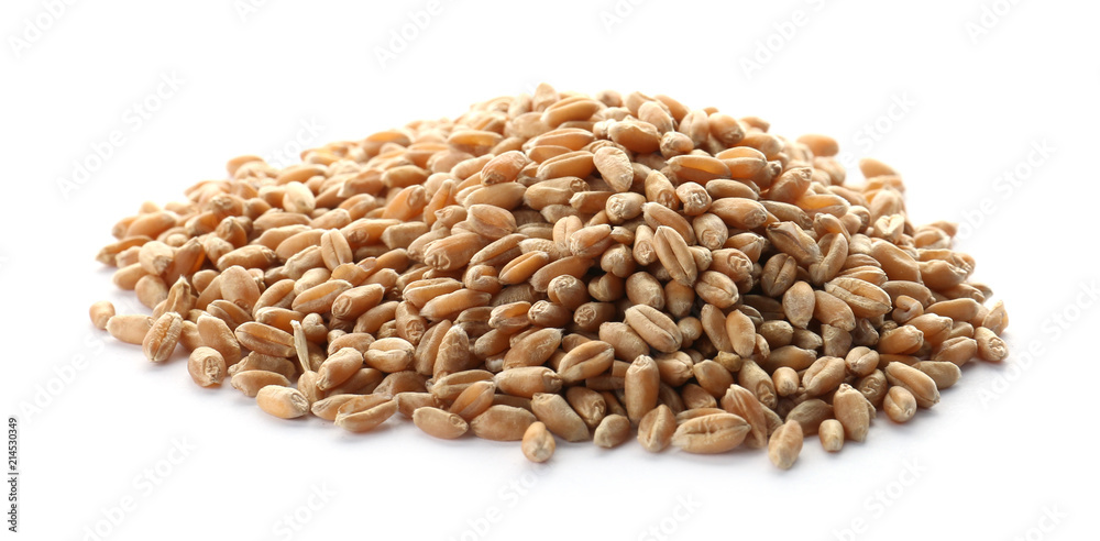Raw wheat on white background. Healthy grains and cereals