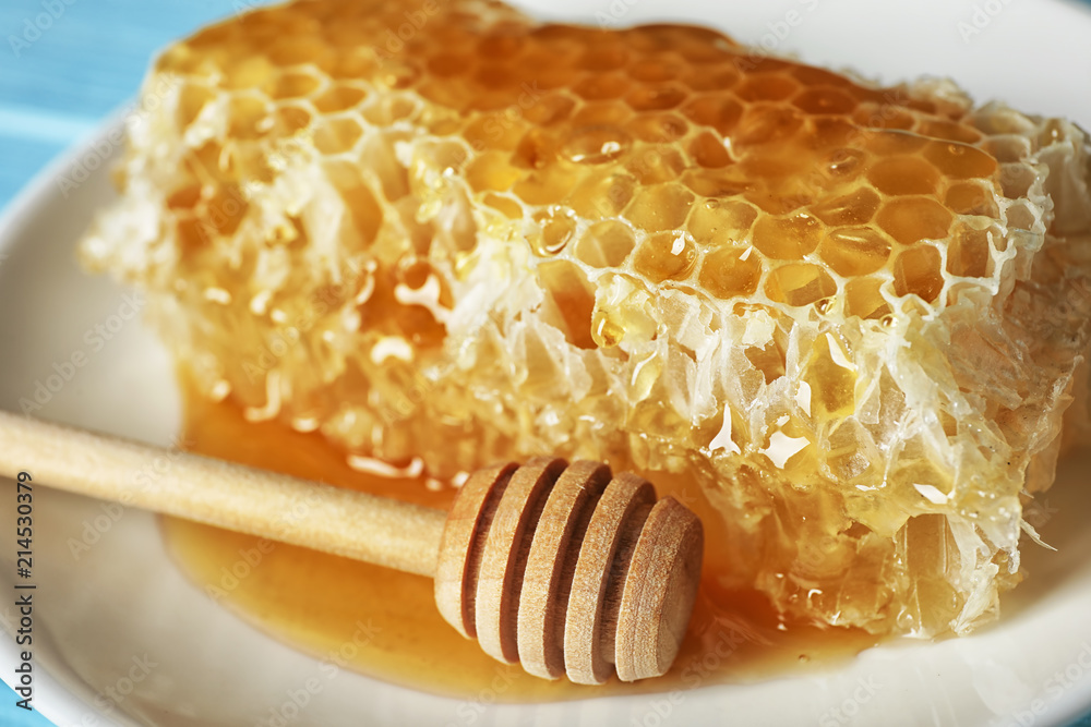 Plate with honeycomb and dipper, closeup Plate with honeycomb and dipper, closeup