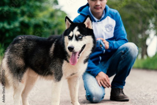 Man and dog Siberian huskies concept.  Asian young man with his dog sitting on street in the park. © srijaroen