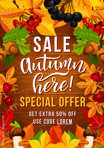 Autumn sale offer poster with fall season leaf