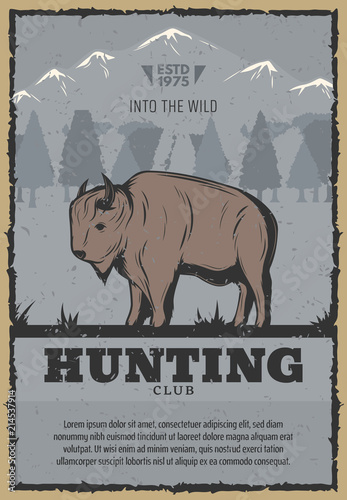 Vector vintage poster for buffalo hunt