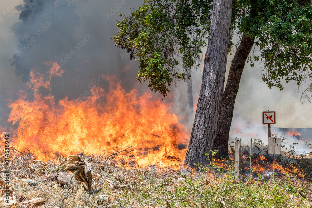 Firefighters Fighting Wildfire California Firefighters Fighting Wildfire California