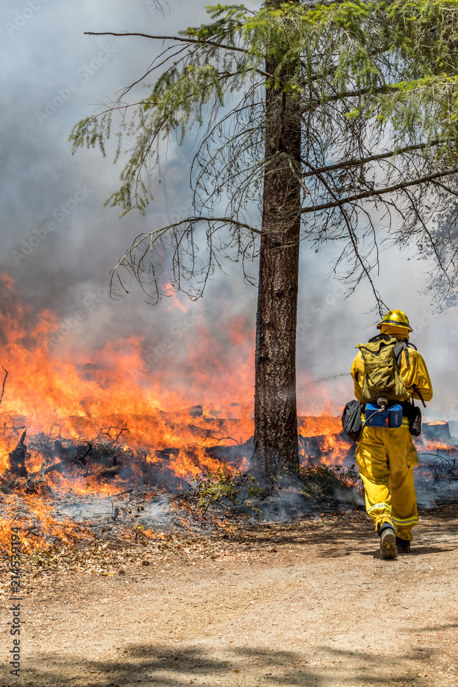 Firefighters Fighting Wildfire California Firefighters Fighting Wildfire California