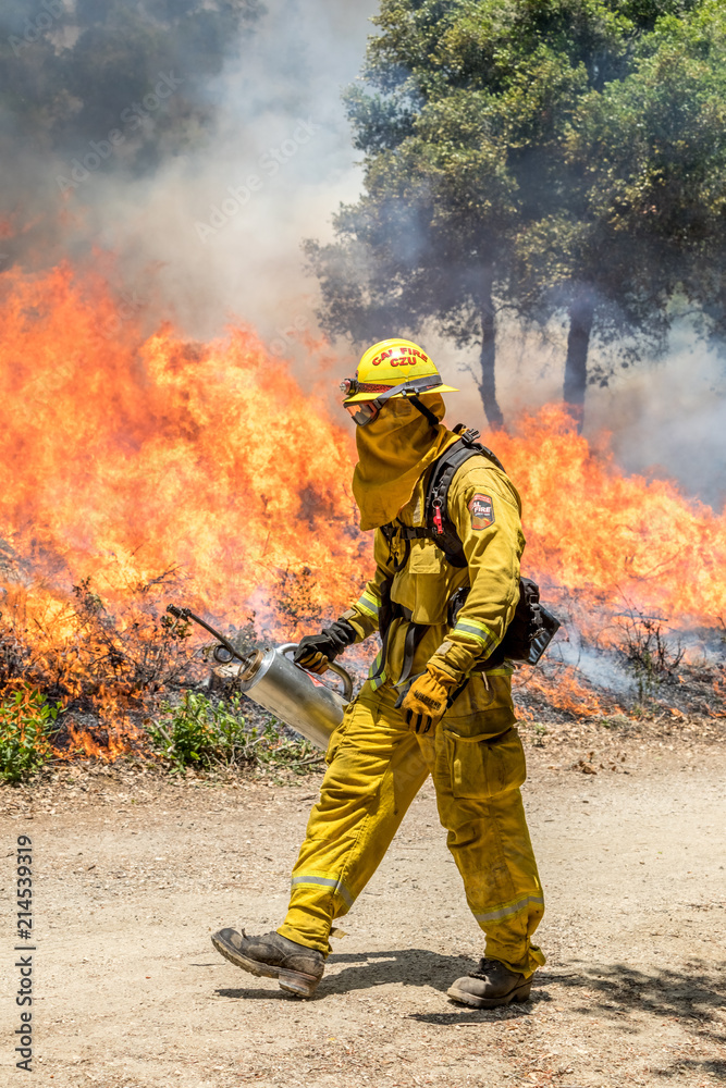 Firefighters Fighting Wildfire California Firefighters Fighting Wildfire California