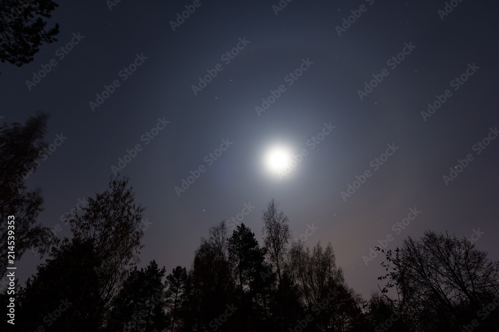 Moon halo with trees