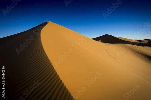 Sahara Sand Dune