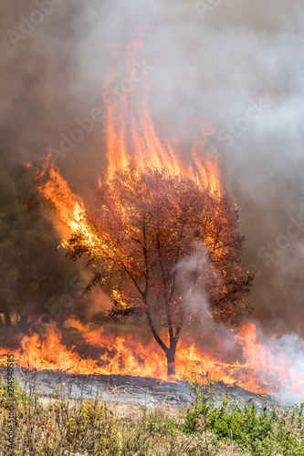 Firefighters Fighting Wildfire California © kcapaldo