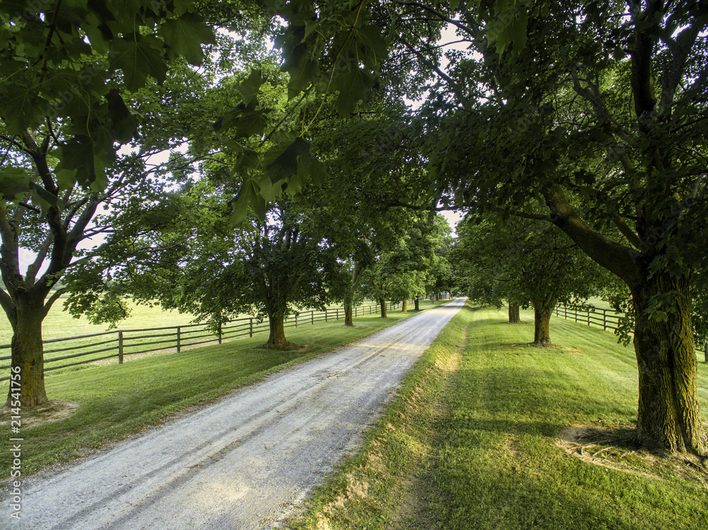 Horse farm ranch  landscape in toronto canada  