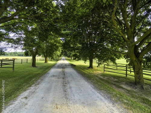 Photography Horse farm ranch  landscape in toronto canada