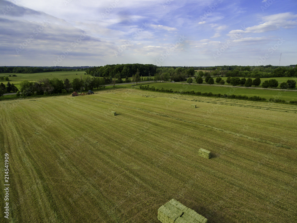 Horse farm ranch landscape in toronto canada Horse farm ranch landscape in toronto canada