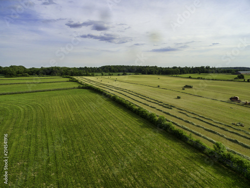 Photography Horse farm ranch  landscape in toronto canada