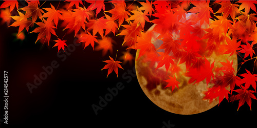 紅葉　葉　秋　背景 