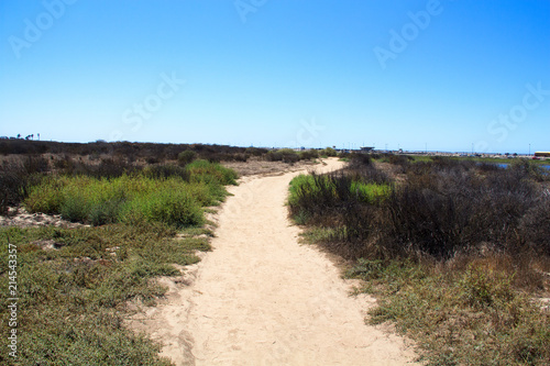 Easy hiking road following the edges of a nature preserve in Southern California for exercise, bird watching or wildlife photography