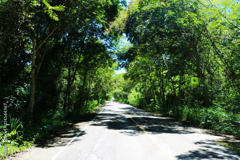 Fototapeta premium Die Straße der Träume