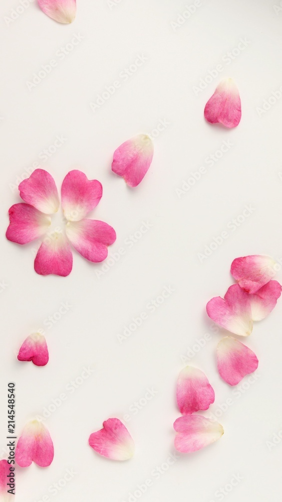 可愛いハート型のピンクの花びら 白背景 Stock 写真 Adobe Stock