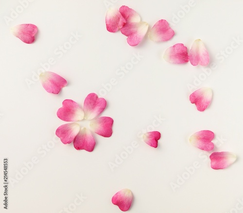 可愛いハート型のピンクの花びら 白背景 Stock Photo Adobe Stock