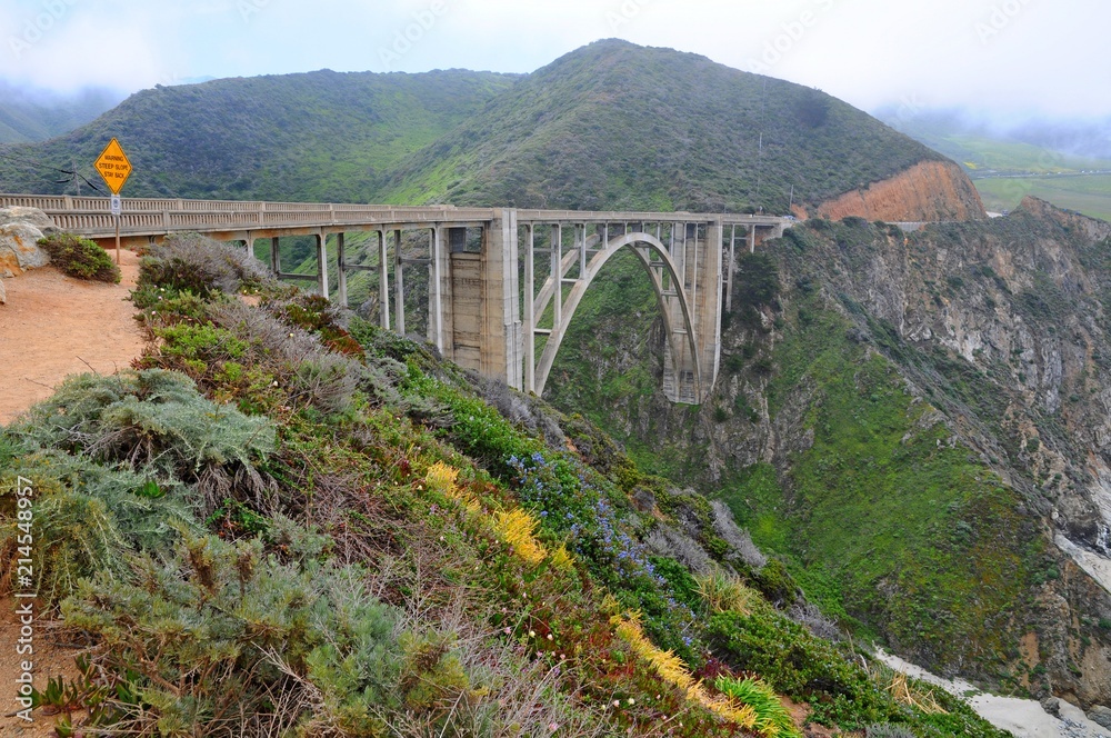 Famous Bixby Bridge with Colorful plants on the rock in Spring near Big Sur on 17 mile Drive in California, United States