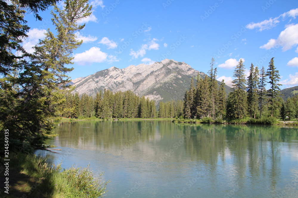 High Water Of The Bow River, Banff National Park, Alberta