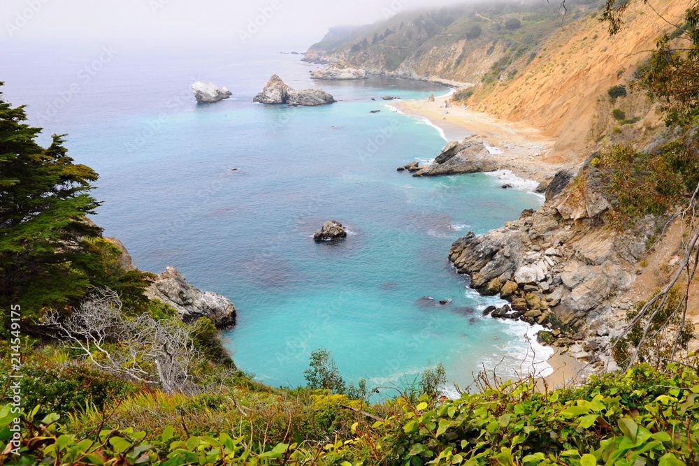 Beautiful beach with colorful plants on rocks in Spring near Big Sur on 17 mile Drive in California, United States Beautiful beach with colorful plants on rocks in Spring near Big Sur on 17 mile Drive in California, United States