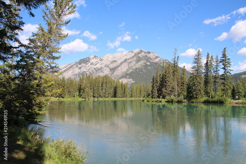 Fototapeta Naklejka Na Ścianę i Meble -  High Water Of The Bow River, Banff National Park, Alberta