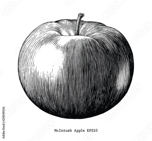 Mcintosh apple hand draw vintage clip art isolated on white background